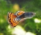 6_0557.jpg