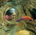 Посмотреть 1 Sea-Life Aquarium Hannover.jpg