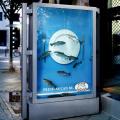 Fisch-Franke-Bus-Ad.jpg