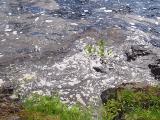 DSC03973_web.jpg