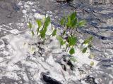DSC03974_web.jpg