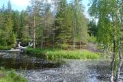 DSC03979_web.jpg