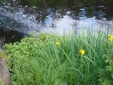 DSC03981_web.jpg