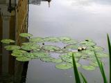 IMG_5172_web.jpg