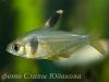 CRW_0855