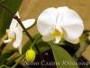 CRW_0966