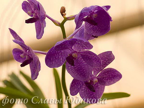 CRW_0968