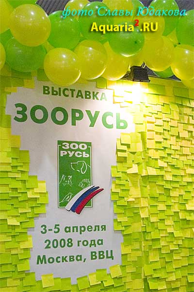 креатив, однако