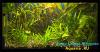 CRW_4054
