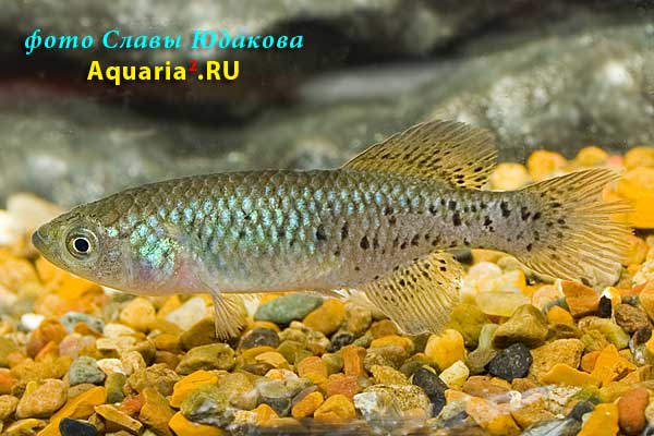 CRW_4883