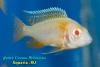 CRW_5188