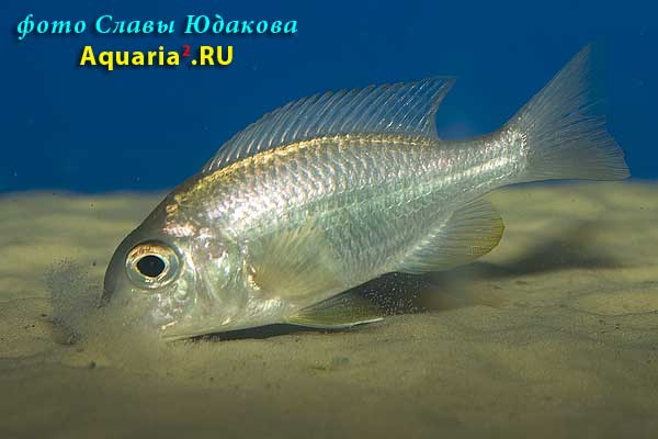CRW_5189