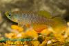 CRW_5306