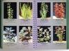 стр. 42—43