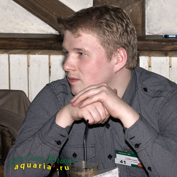 Martovskii_kot