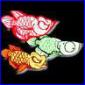 Аватар пользователя Arowana