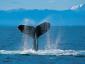 Аватар пользователя Наталья Артимович Аватар пользователя Наталья Артимович