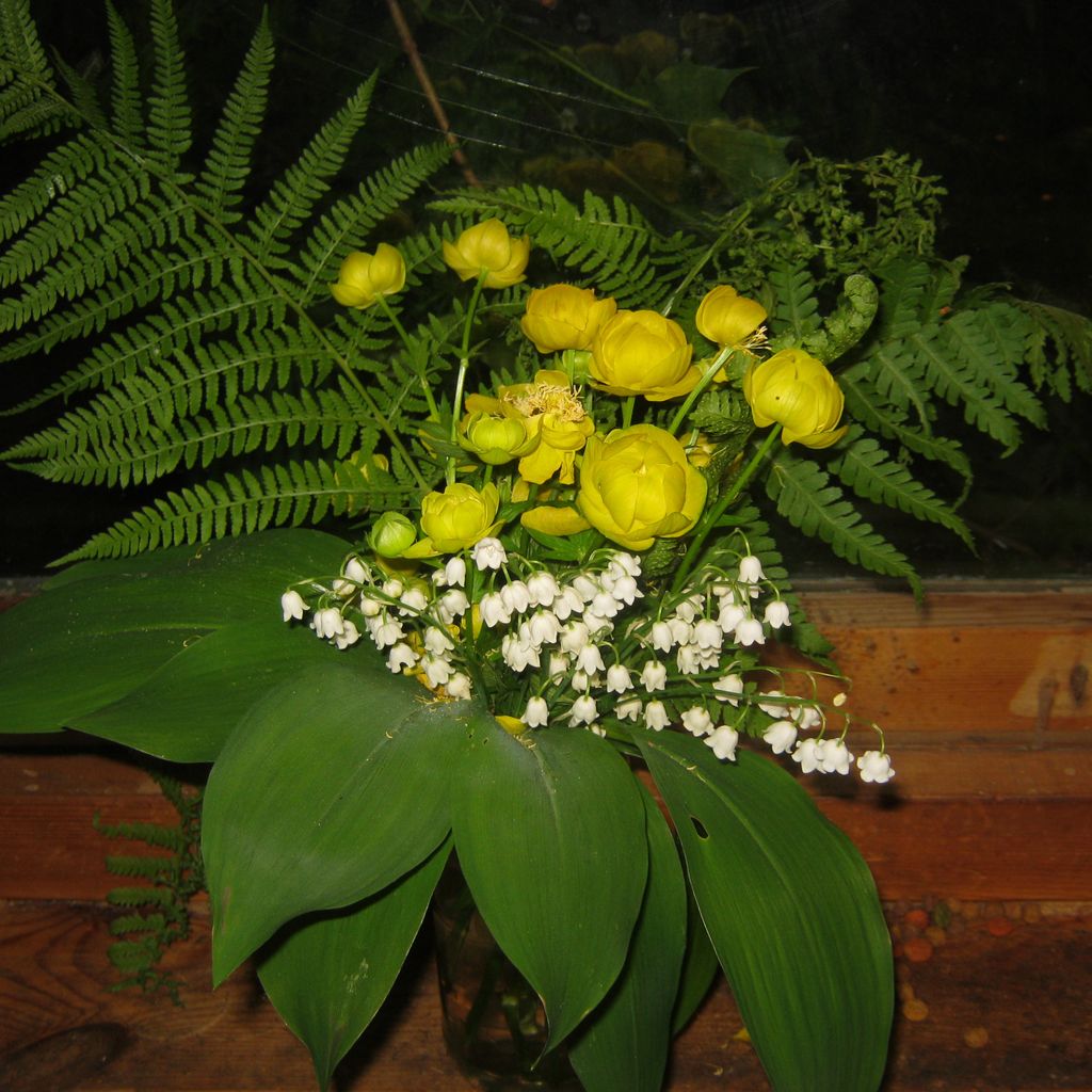 img_0663.jpg
