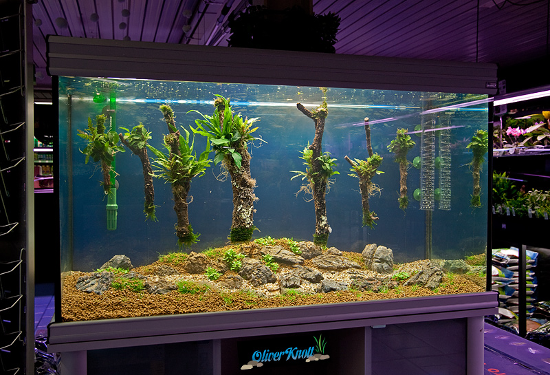 148211781.x1bogs5w.sevenfloatingtrees.jpg