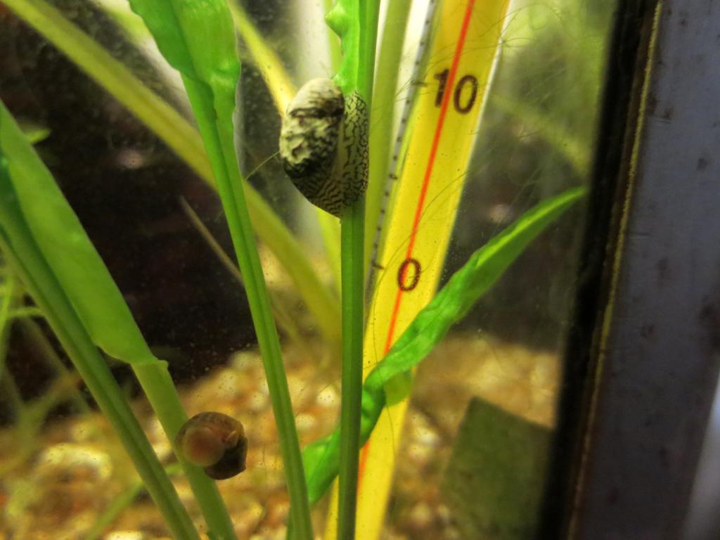 img_0201.jpg