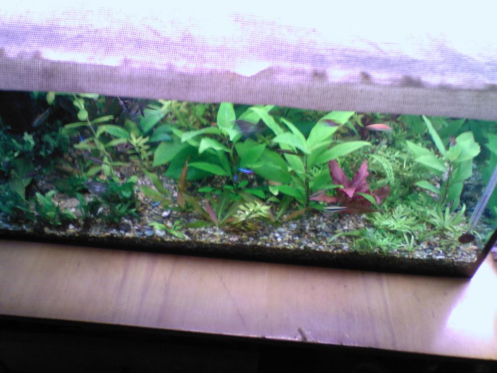photo-0009.jpg