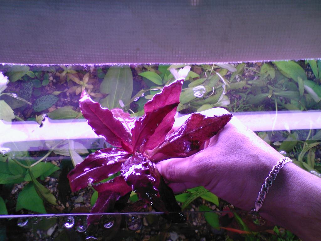 photo-0012.jpg