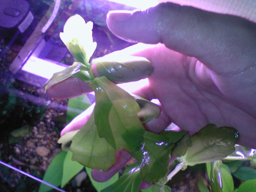 photo-0013.jpg