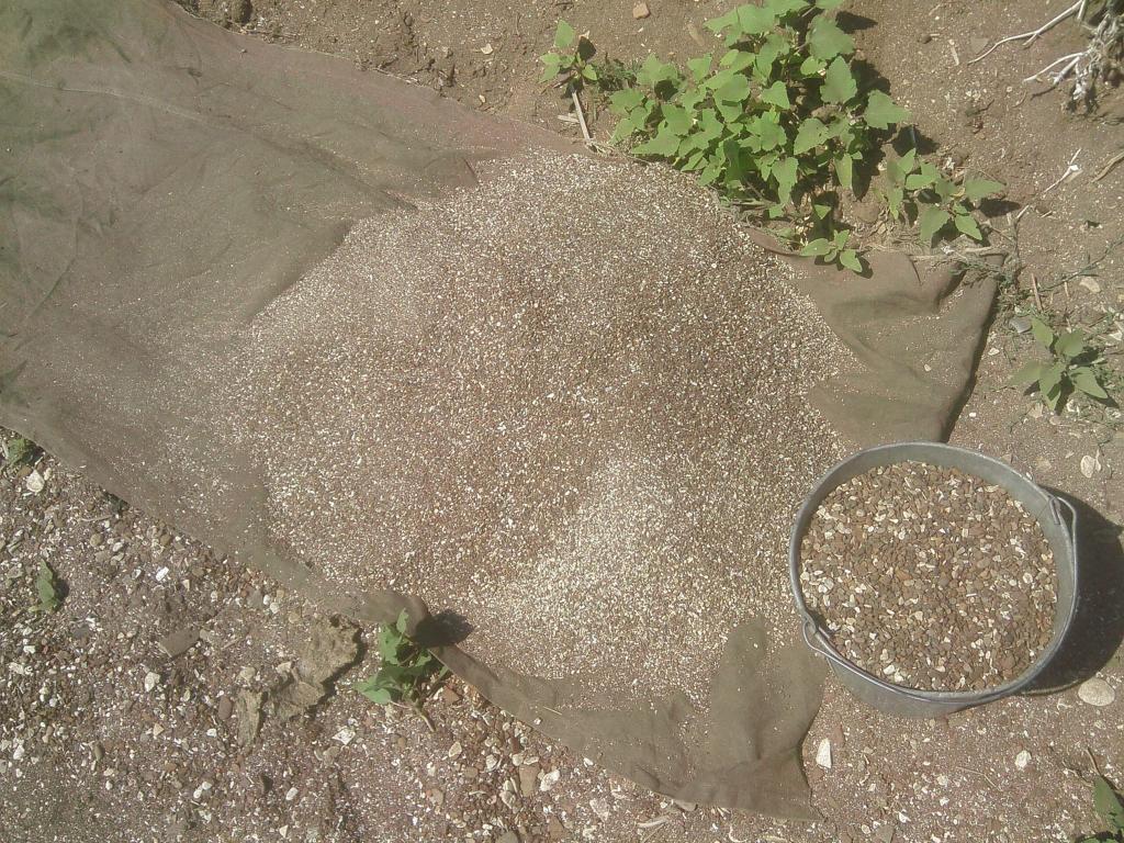img00367.jpg