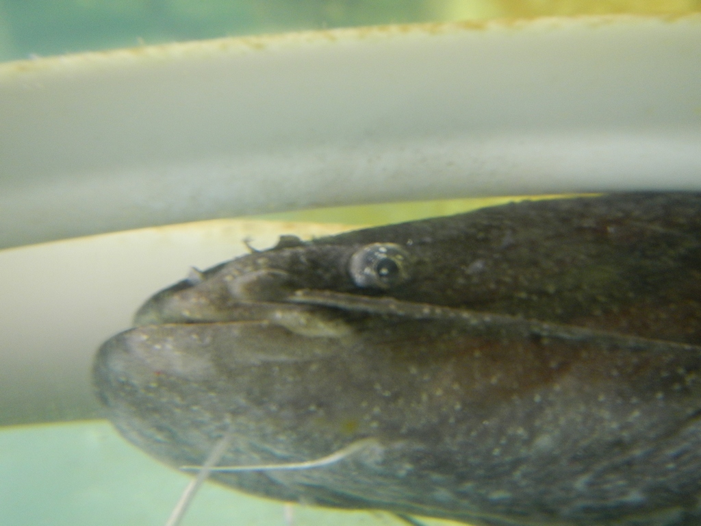 dscn04461024.jpg