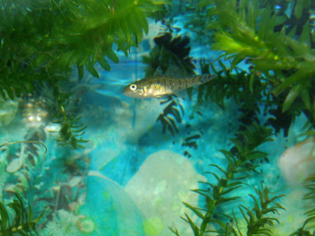 p5280465.jpg
