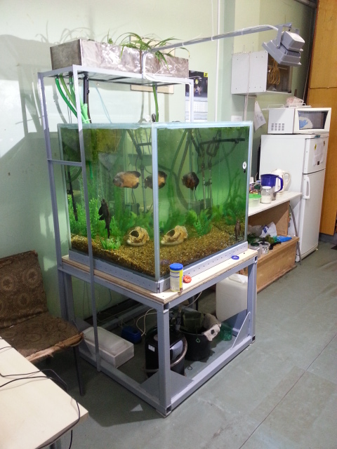 20130917_153028.jpg