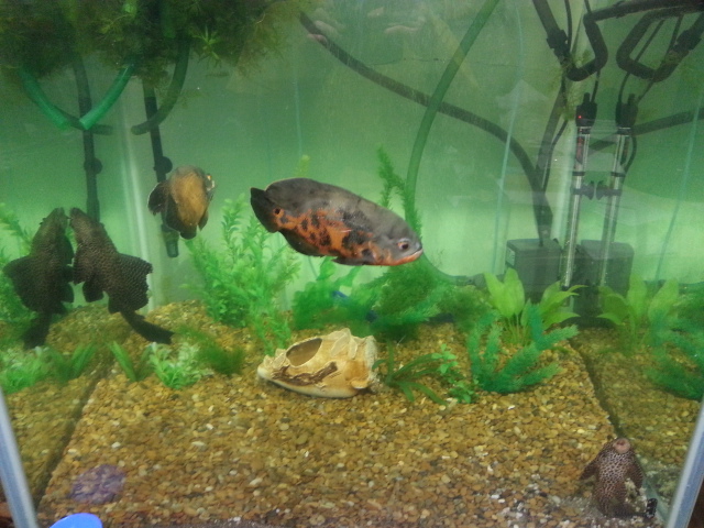 20130917_153035.jpg