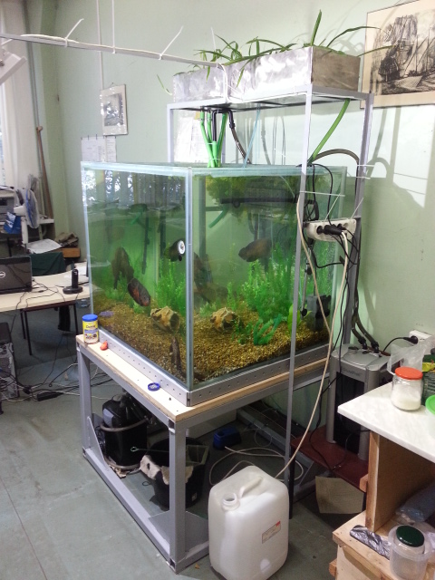 20130917_153045.jpg