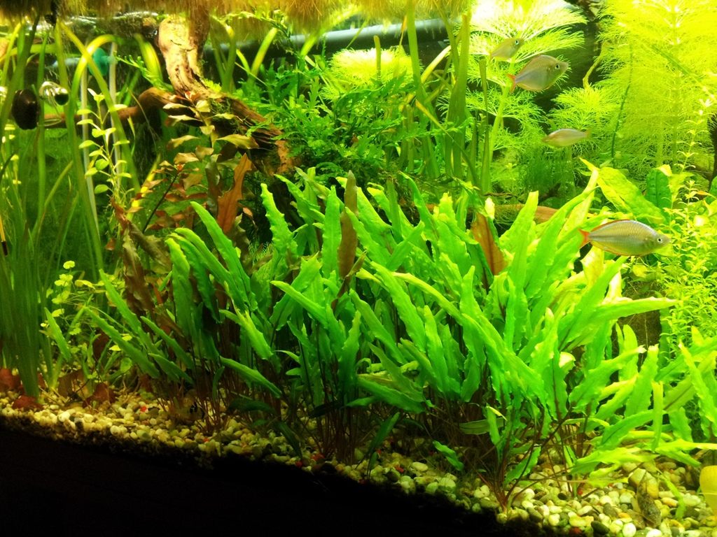 20130204_205211_.jpg
