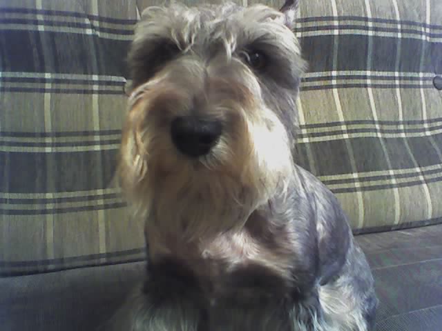 30-12-05_1404_0.jpg