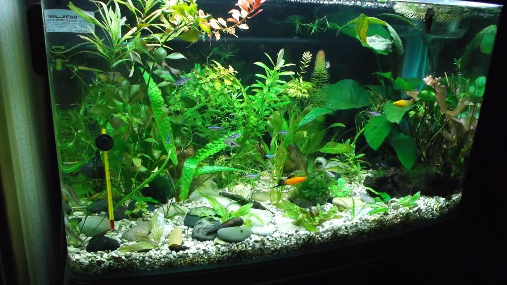 dscf7825.jpg