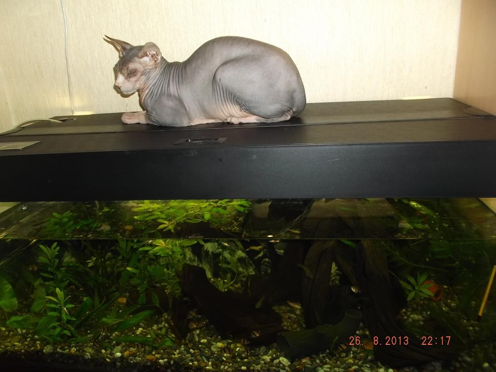 dscf8543.jpg