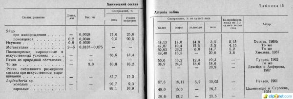 artemiya_tablica.jpg