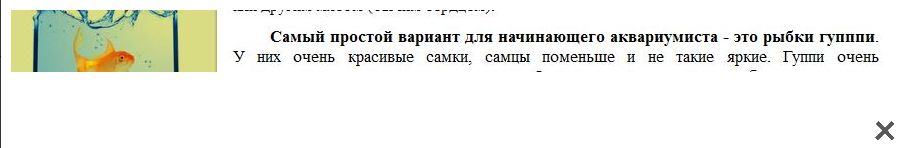 fanfishka_1.jpg