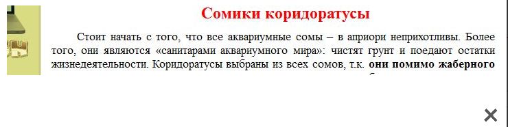 fanfishka_2.jpg