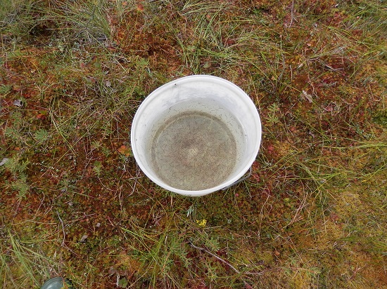 p8160974_a.jpg