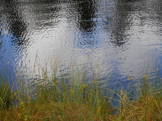 p8160991_a.jpg