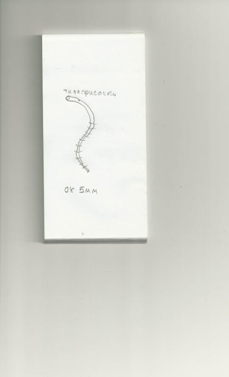 scan0010.jpg