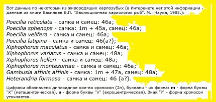 snimok15_0.jpg