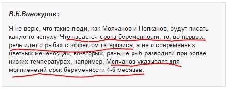 snimok31.jpg