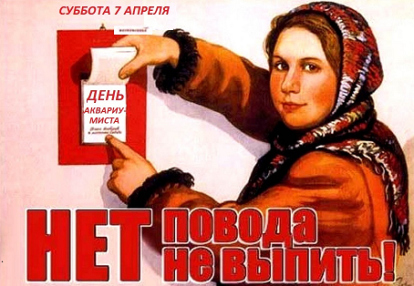 snimok33_0.png
