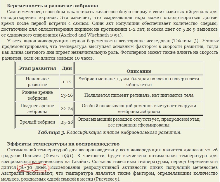 snimok39_0.jpg