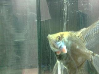 31032012177_0.jpg