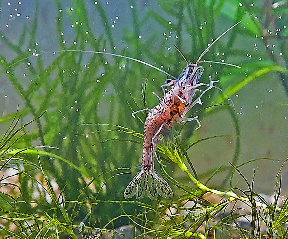 dsc_1683_1.jpg