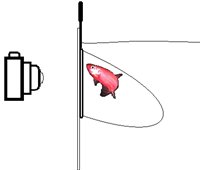 5b7ad62b6fdf.jpg